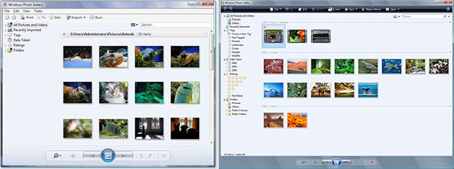 Windows Photo Gallery