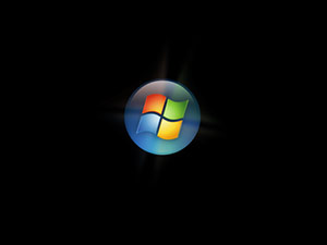 Windows Vista bootscreen 2