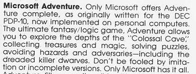 Microsoft Adventure