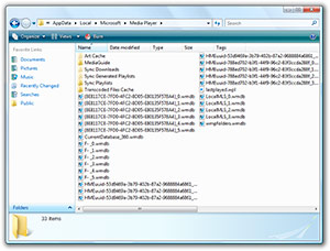Windows Media Player 11 Library cache