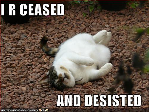 LOLCat cease and desist