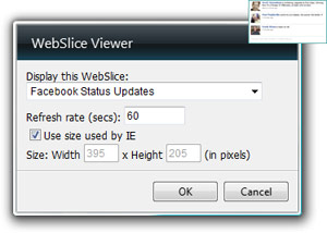 WebSlice Viewer Gadget Options